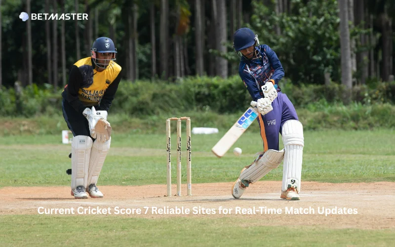 current cricket score cricket pitch length